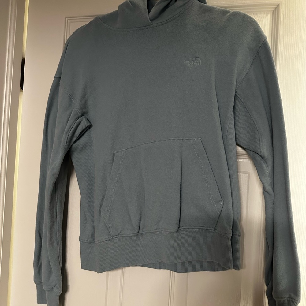 The North Face Blue Hoodie